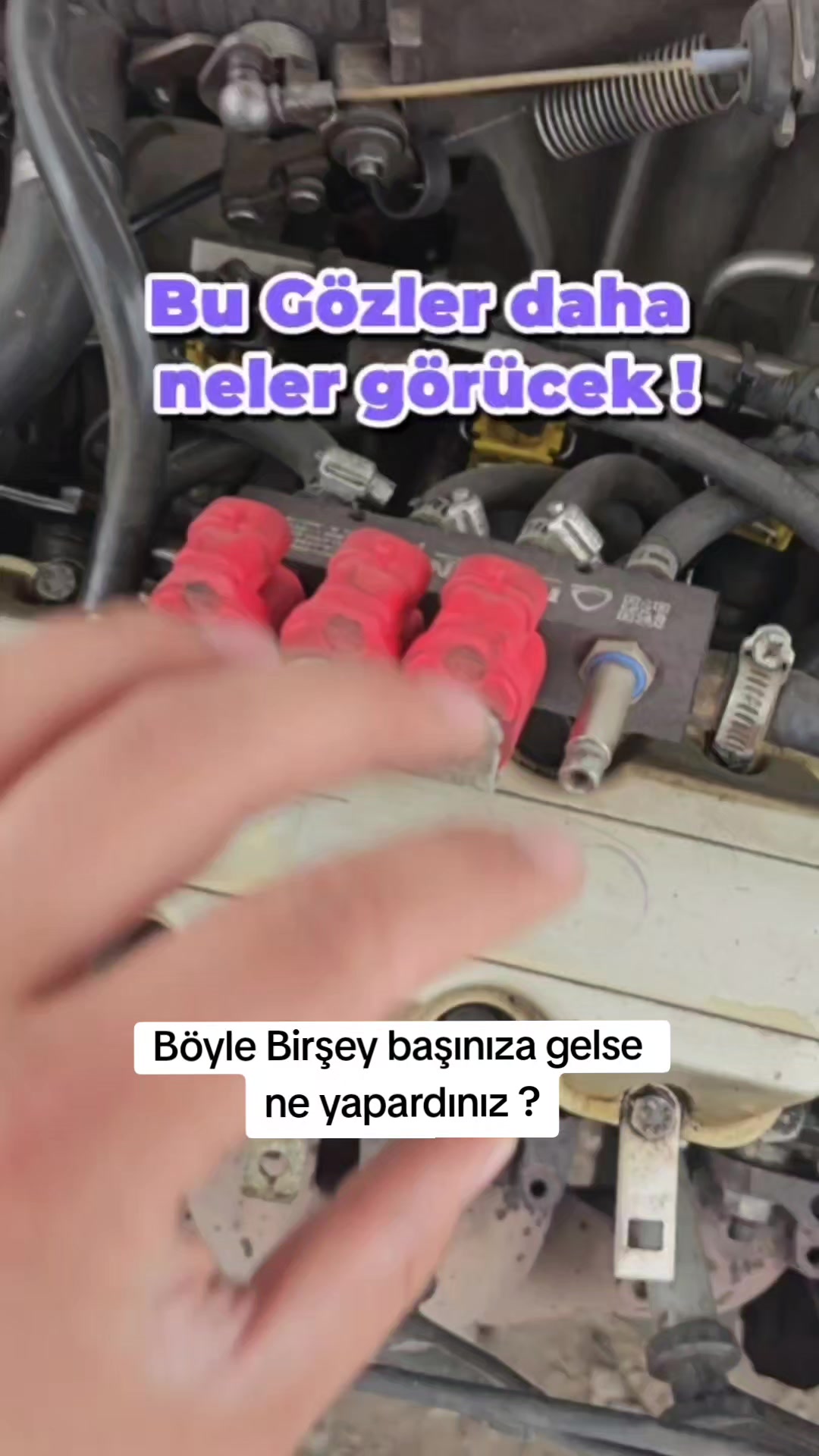 @FENOMEN GAZCI