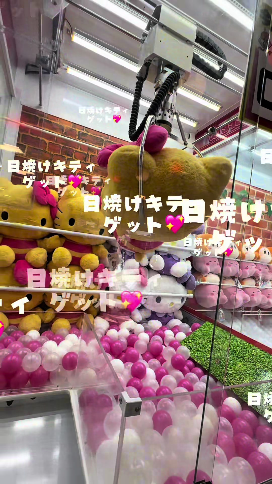 @かんかん💛Gallllllliy🦋 🍓 🪽