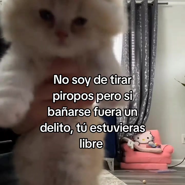@goodvibessxd