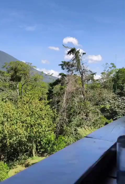 @Leidy Pojoy