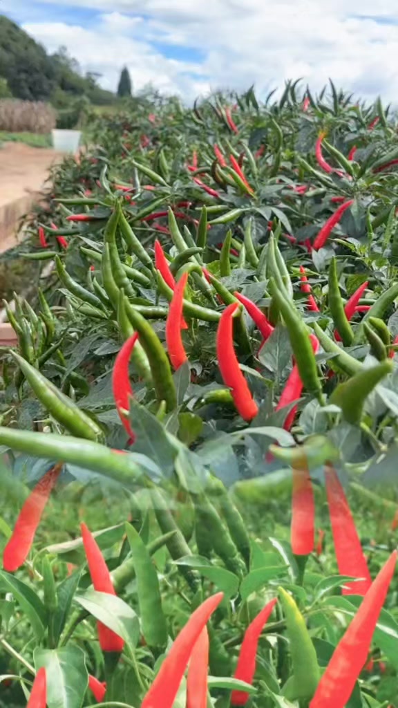 @tới đồ dùng
