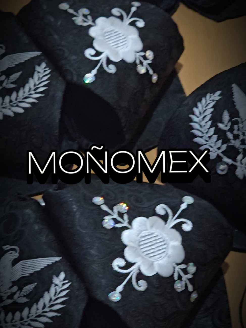 @Moñomex RG