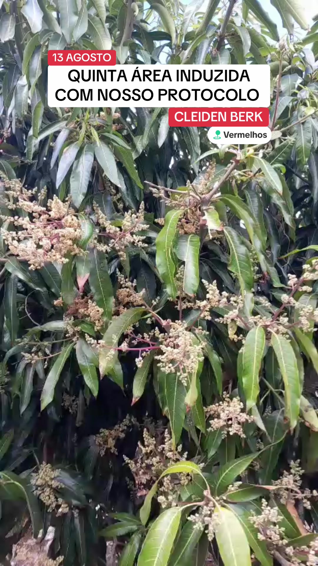 @flavio12inoveagro_oficial
