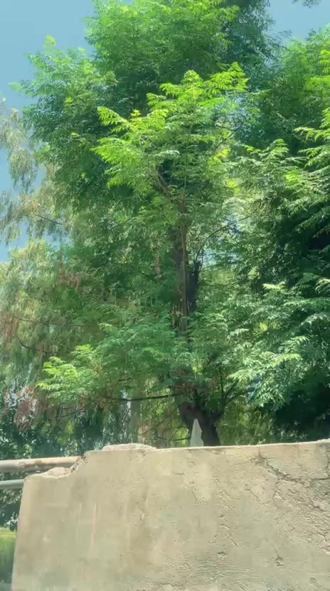 @𓃬𝐑𝐚𝐣𝐚 ᥫ᭡፝֟፝ اٹک الا 888