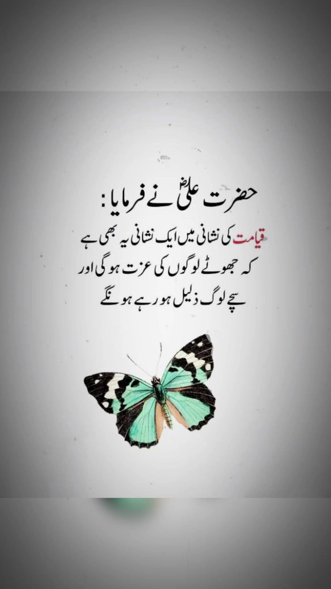 @❦︎❥︎mehar✰༆ ᶻᵘᵇᵃⁱʳ ༎ຶ✰