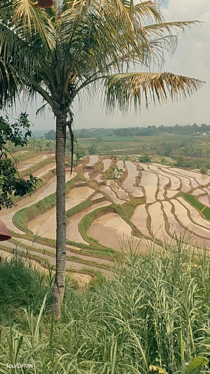 @YOGYAKARTA TOUR DRIVER