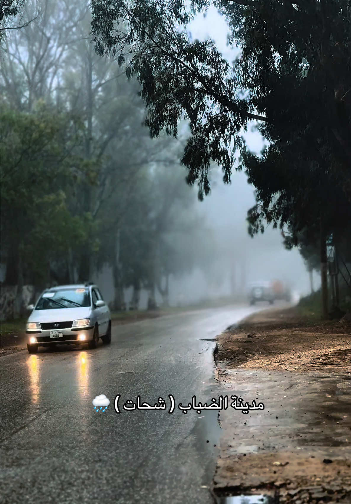 @مؤيد الحاسي 🎥🇱🇾