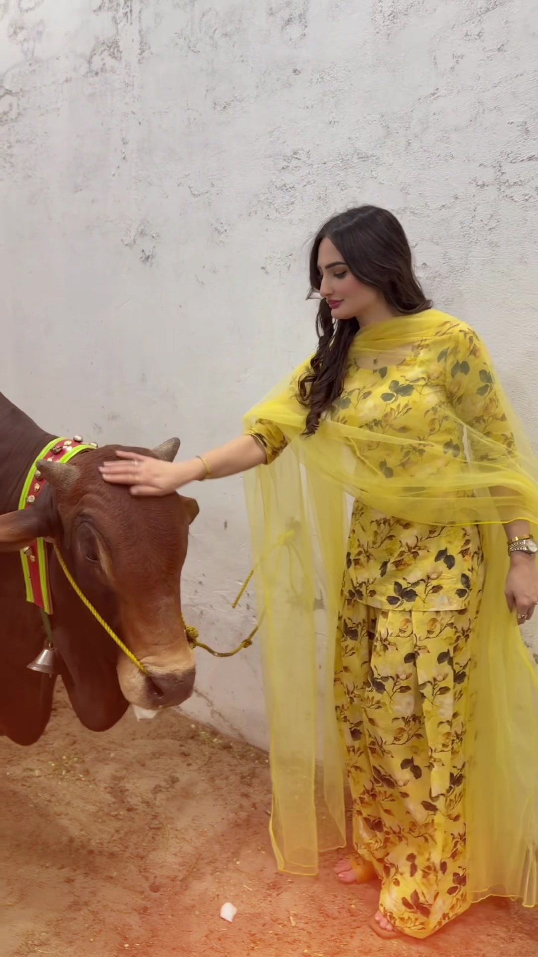 @Zarnab Khan Swati