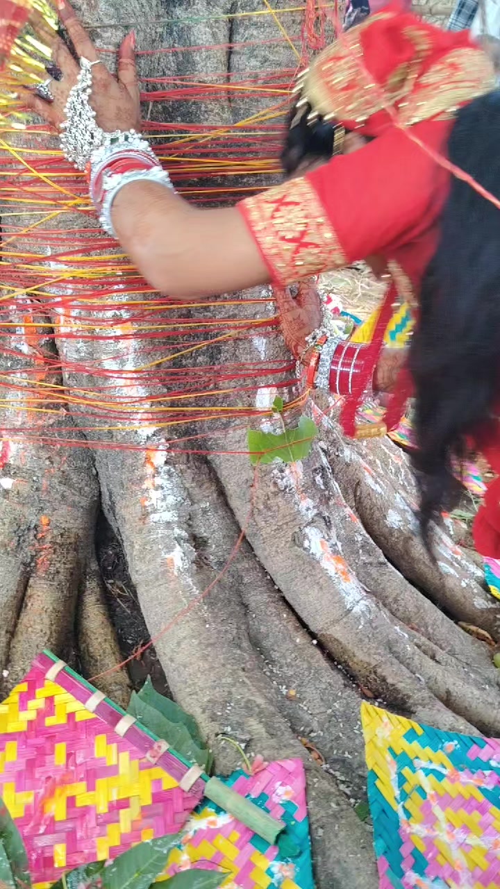 @cngsunita