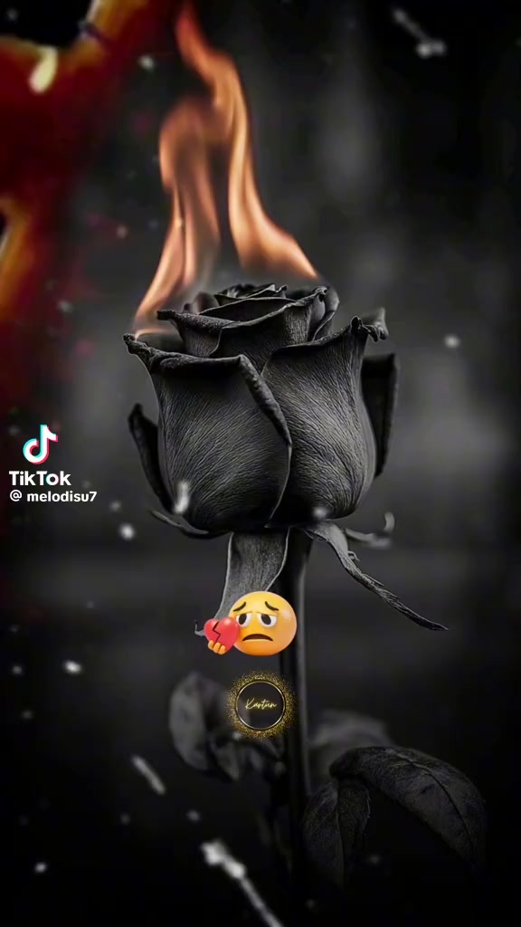 @✮⃝ 🤍🕊️𝚂𝙴𝚁𝙲𝙴★⍣⃝🕊