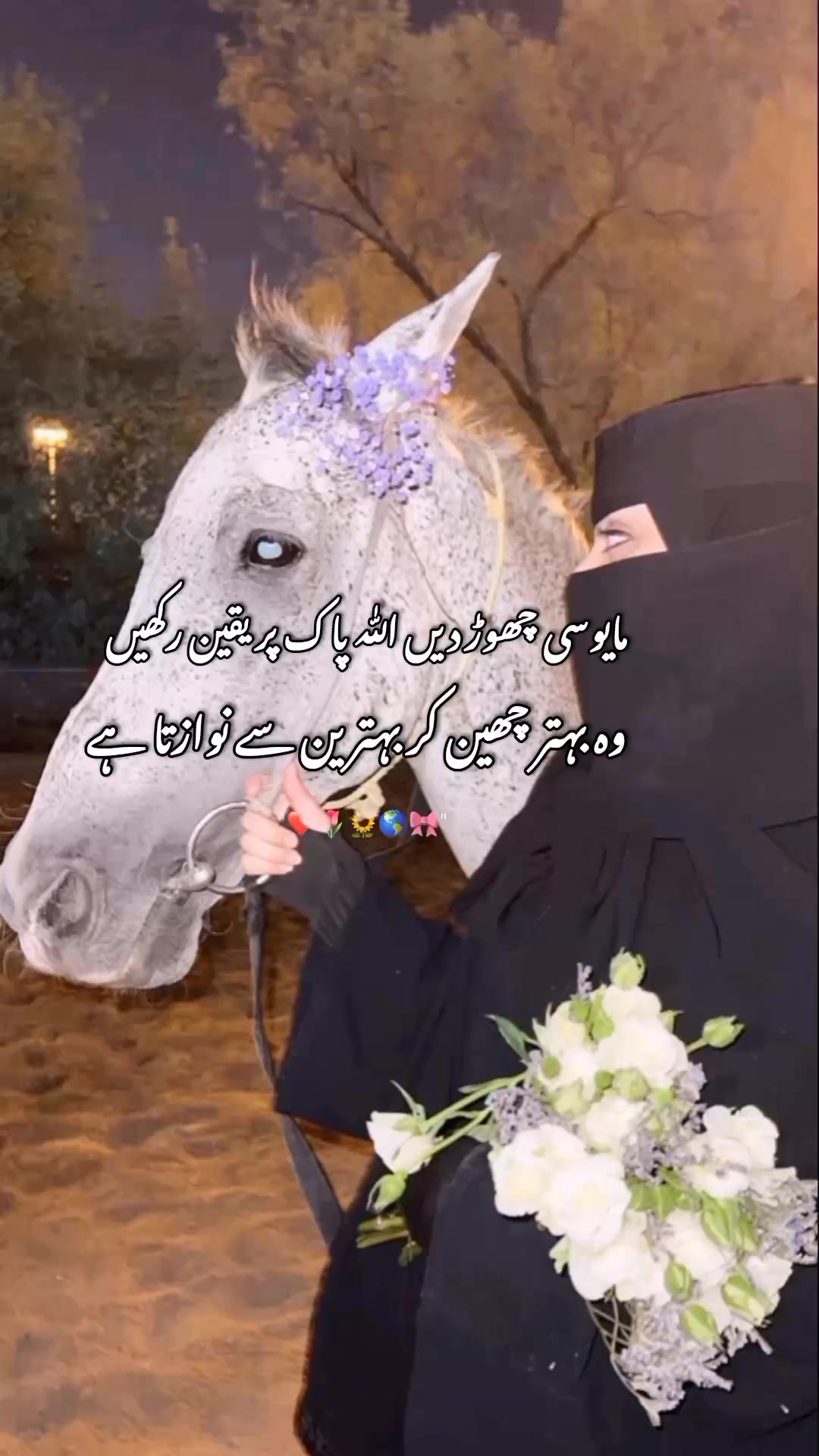 @🎀اسلام کی شہزادی◕✿🎀