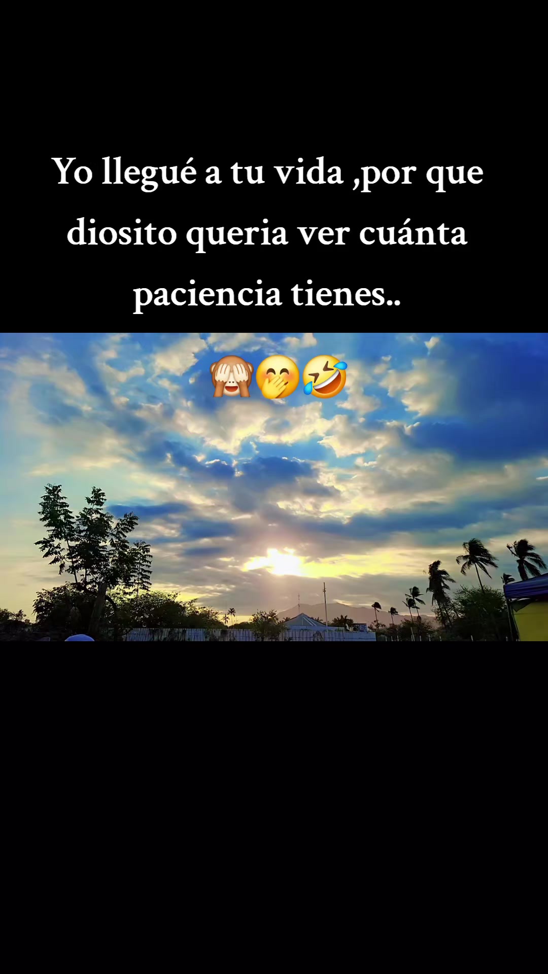 @Stefi812