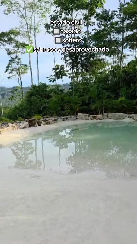 @edimapache
