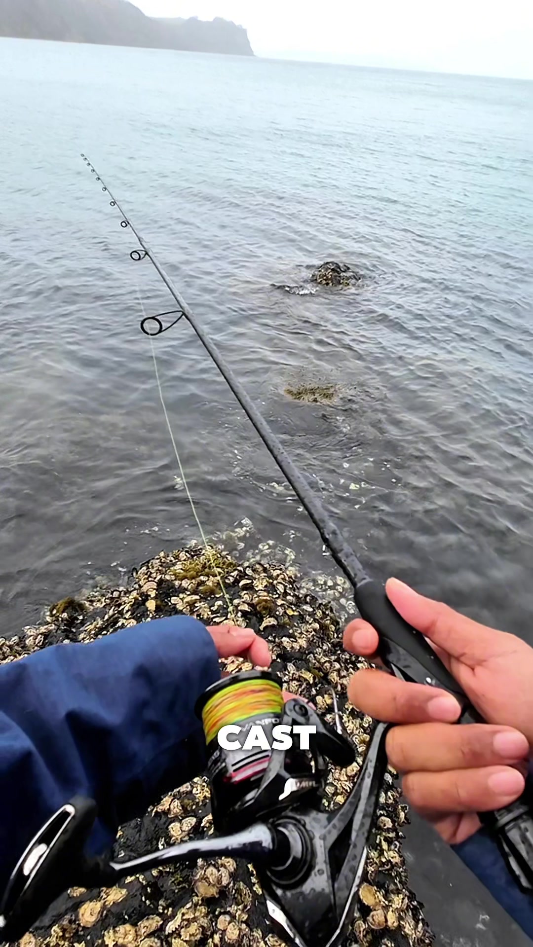 @Taqi Fishing