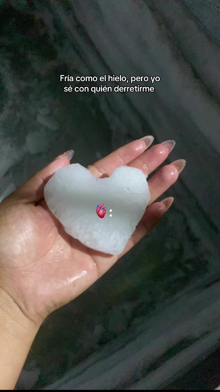 @LezSp✨🦁