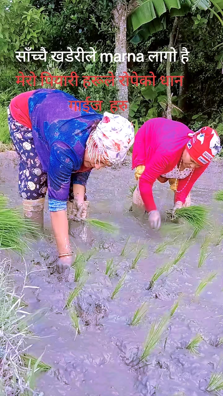 @Ranjita Basnet