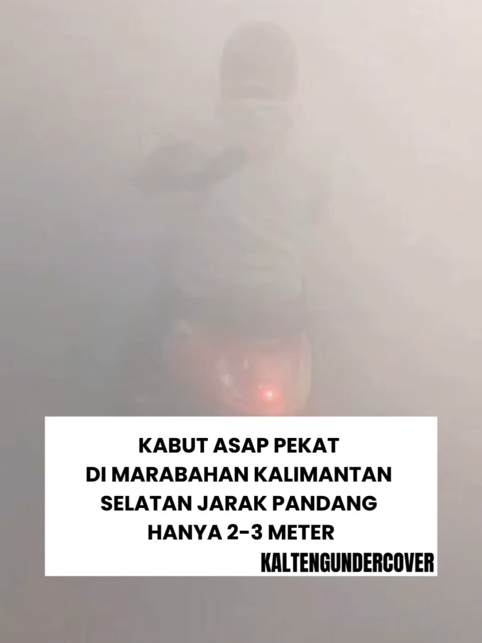 @kaltengundercover