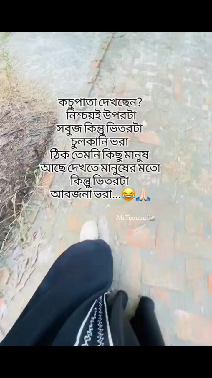 @MiTuuuuu!🦢