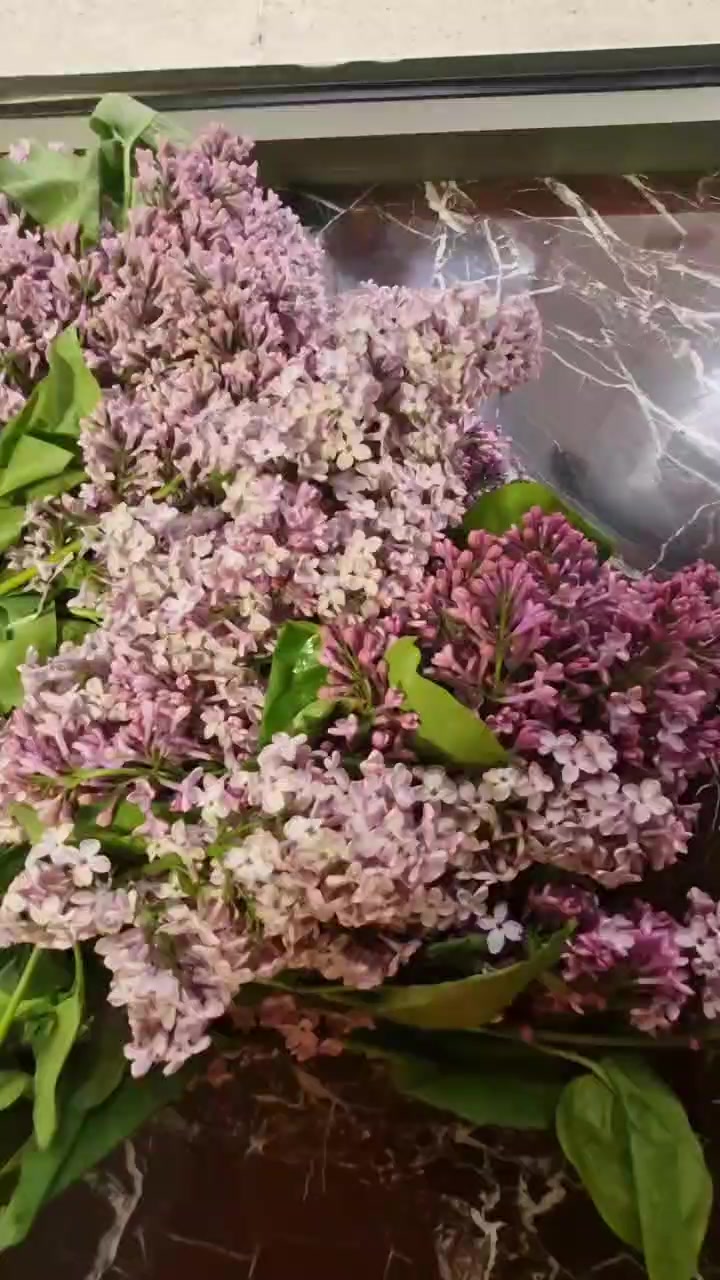 @g&uuml;l&uuml;