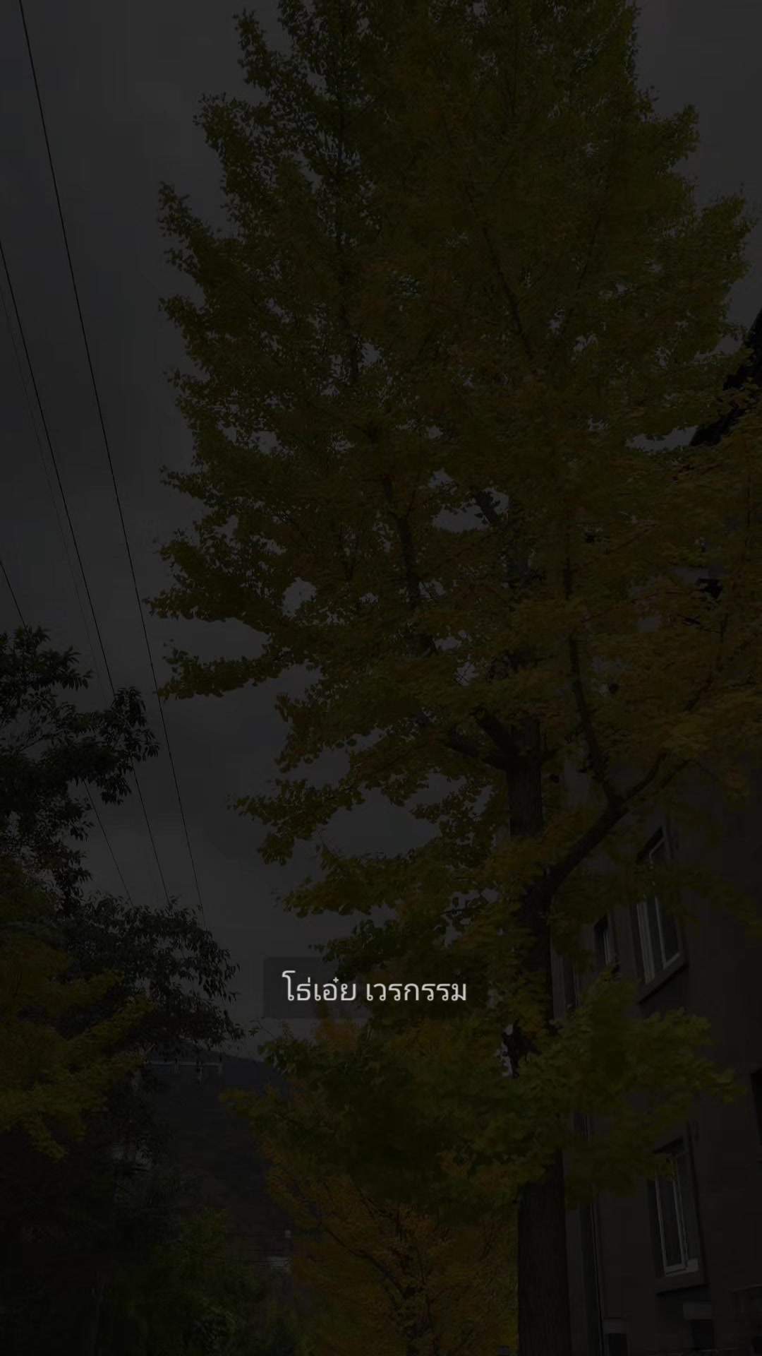@🐷🥰ขวัญ🐷🥰