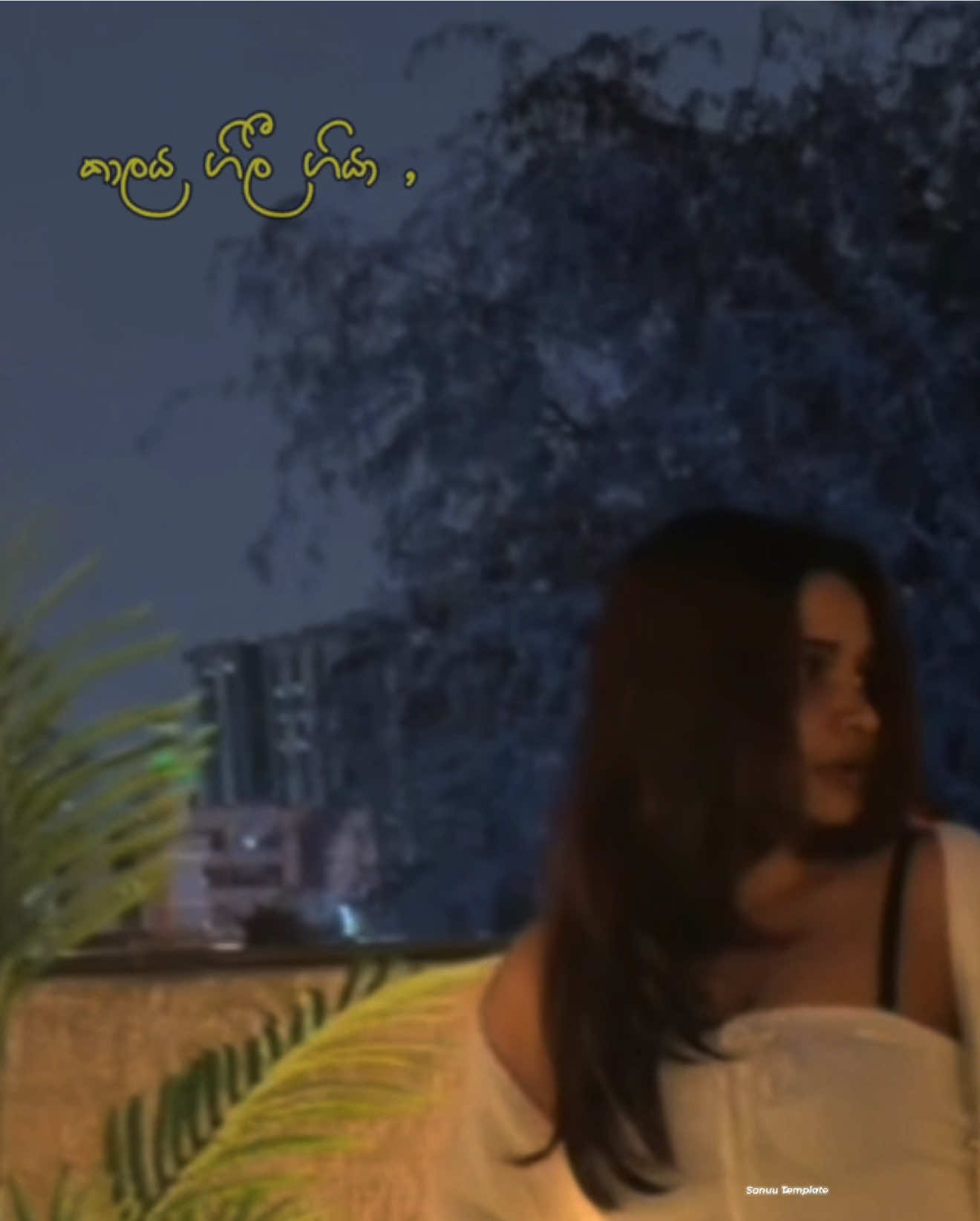 @S ࣪ ִֶָ☾.
