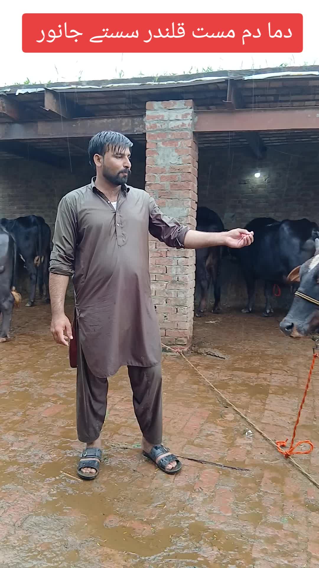 @Farming and Business Ideas