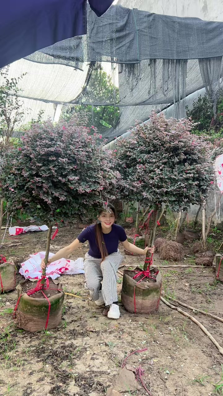 @Khổng La