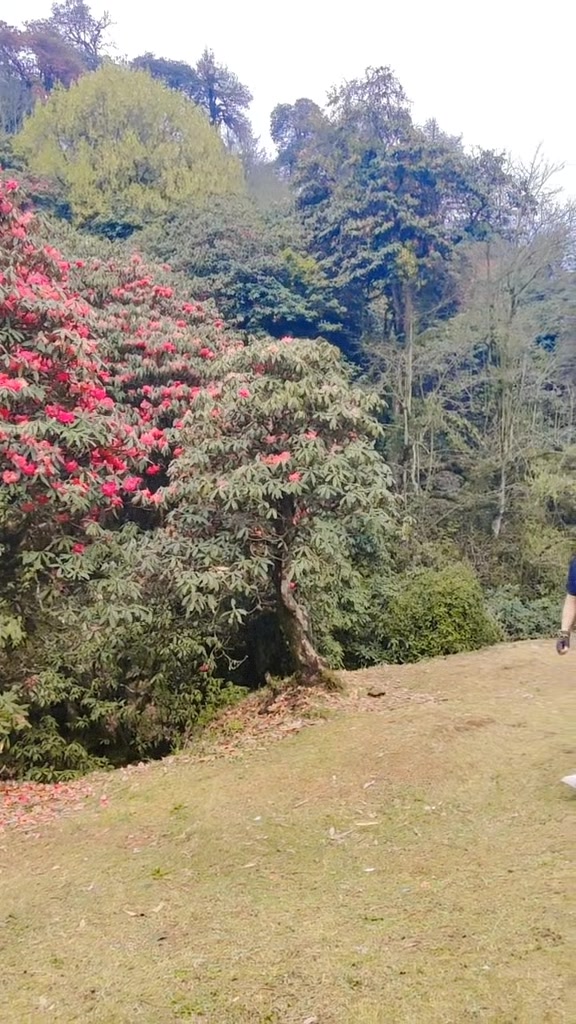 @Prakash_xtri&hearts;️🇳🇵