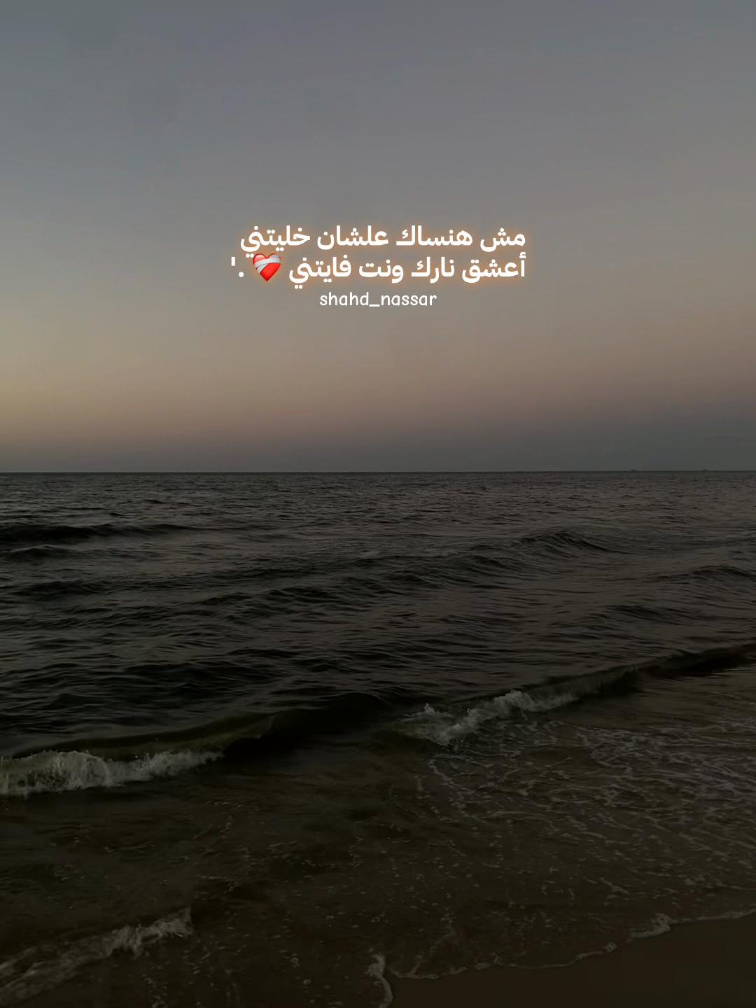 @shahd nassar