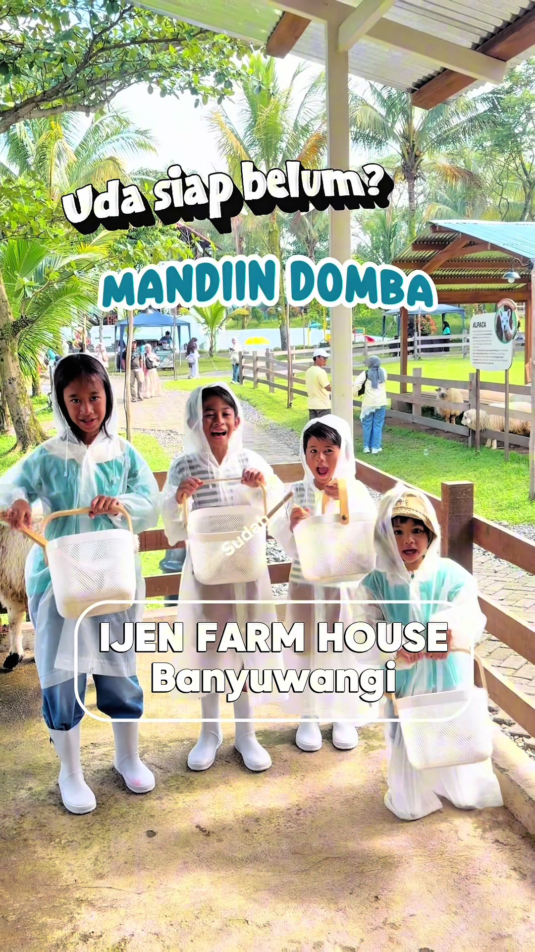 @Madeleine Dinata