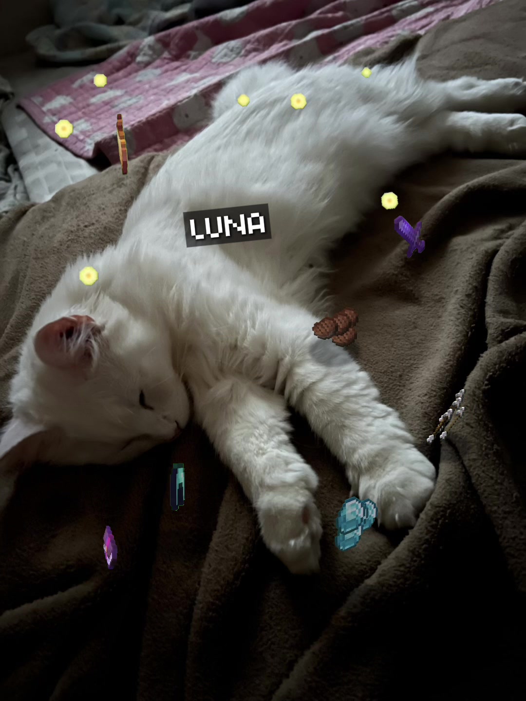 @Junluna.life