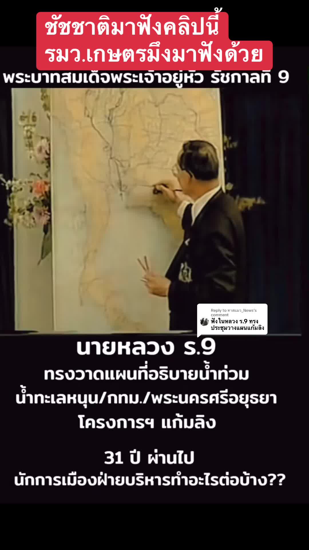 @ทาสแมว_News