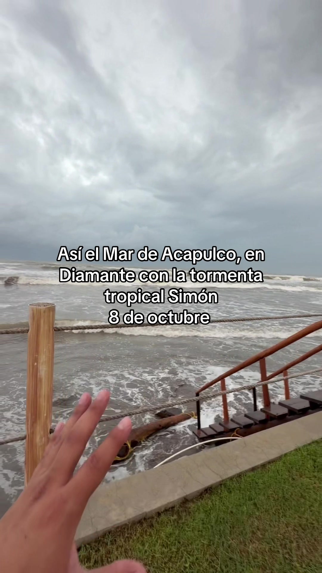 @elbauldemorelosoficial