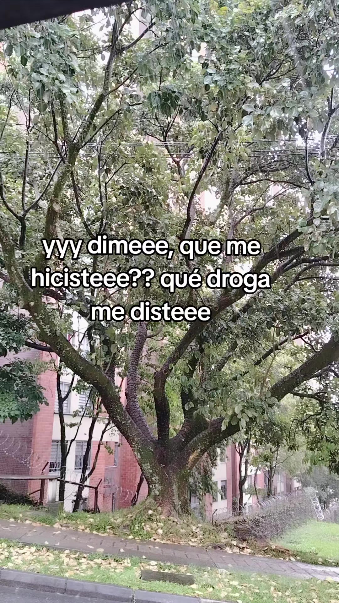 @alejandra ✨💘