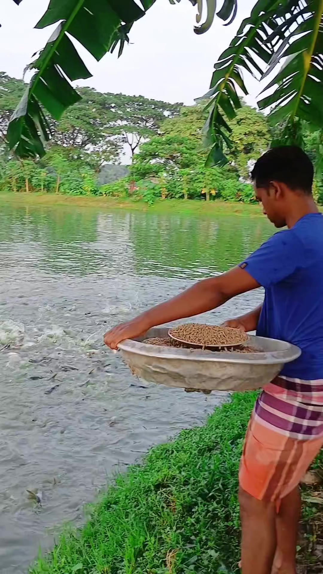 @সুজন মিয়া