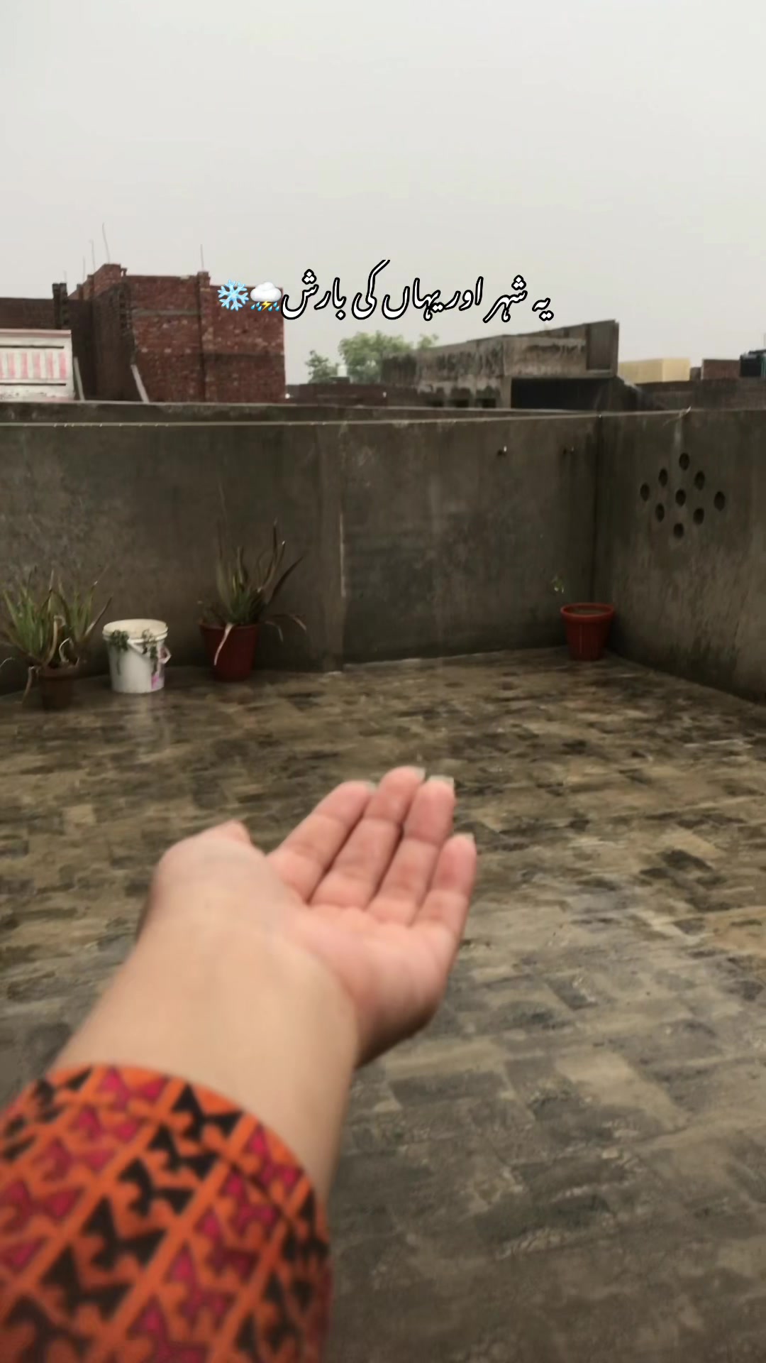 @꧁༺𝓐𝓶𝓫𝓮𝓻༻꧂