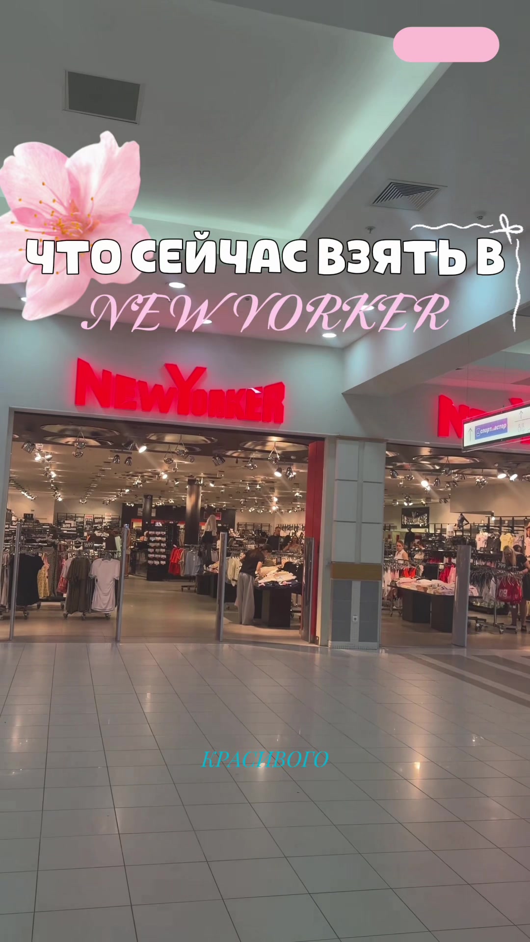 @тгк:заветта