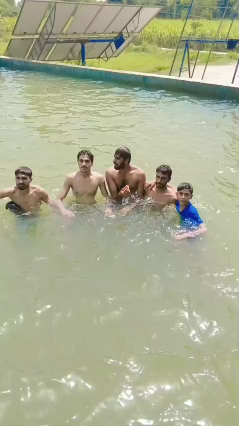@Ahsan shah Tiger