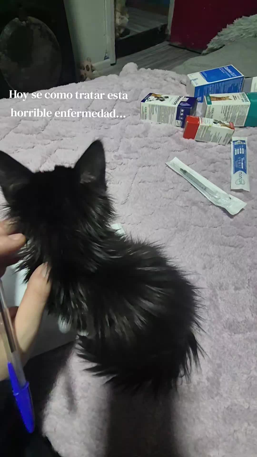 @Dra. Ayleen González