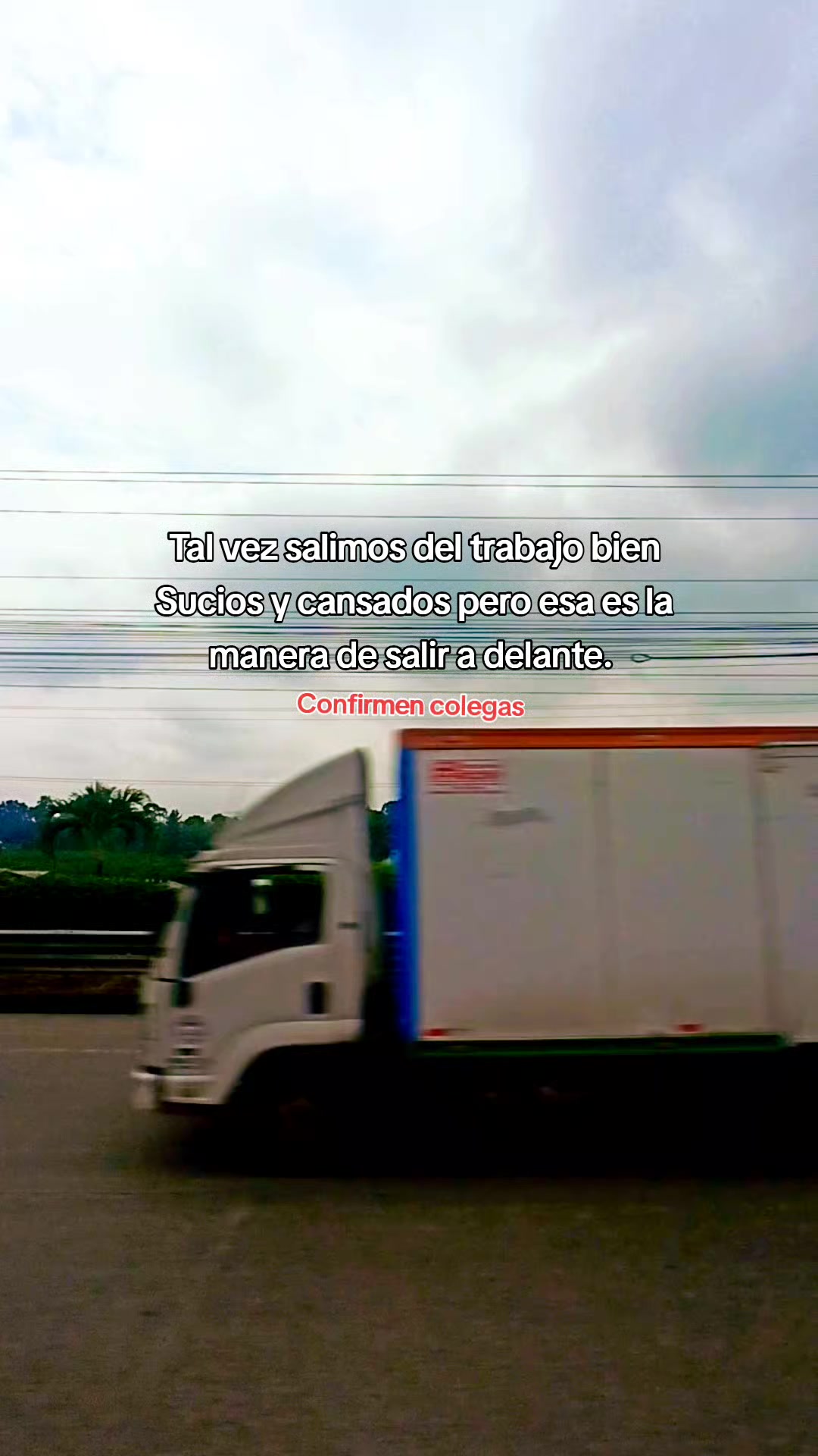 @Miny Rovin
