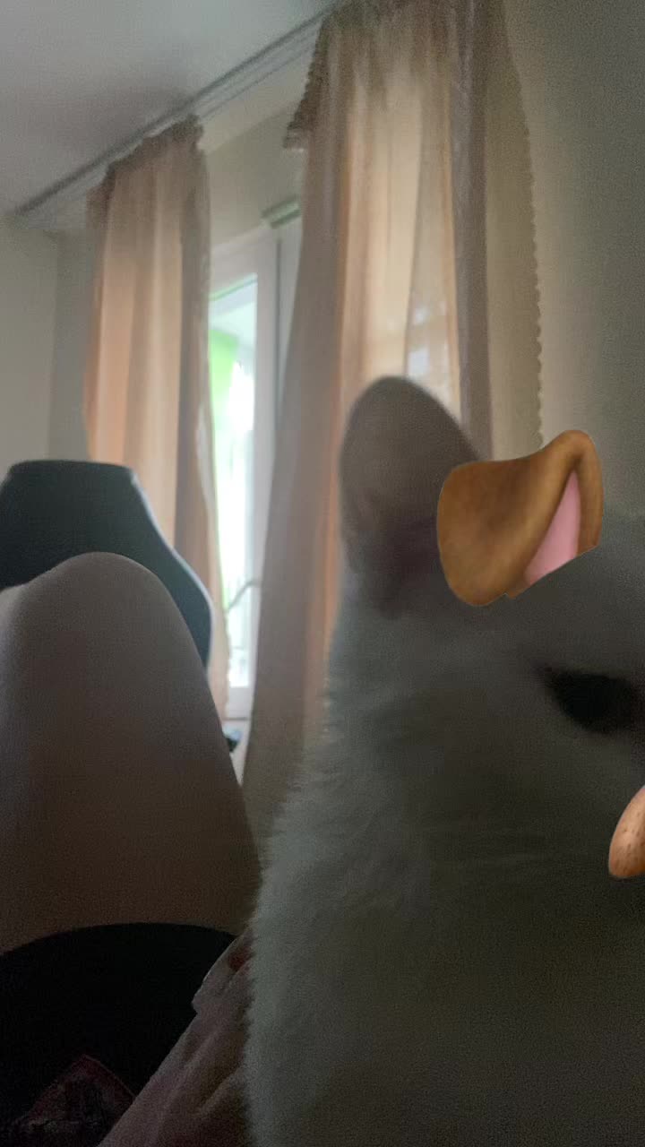 @eetokate18