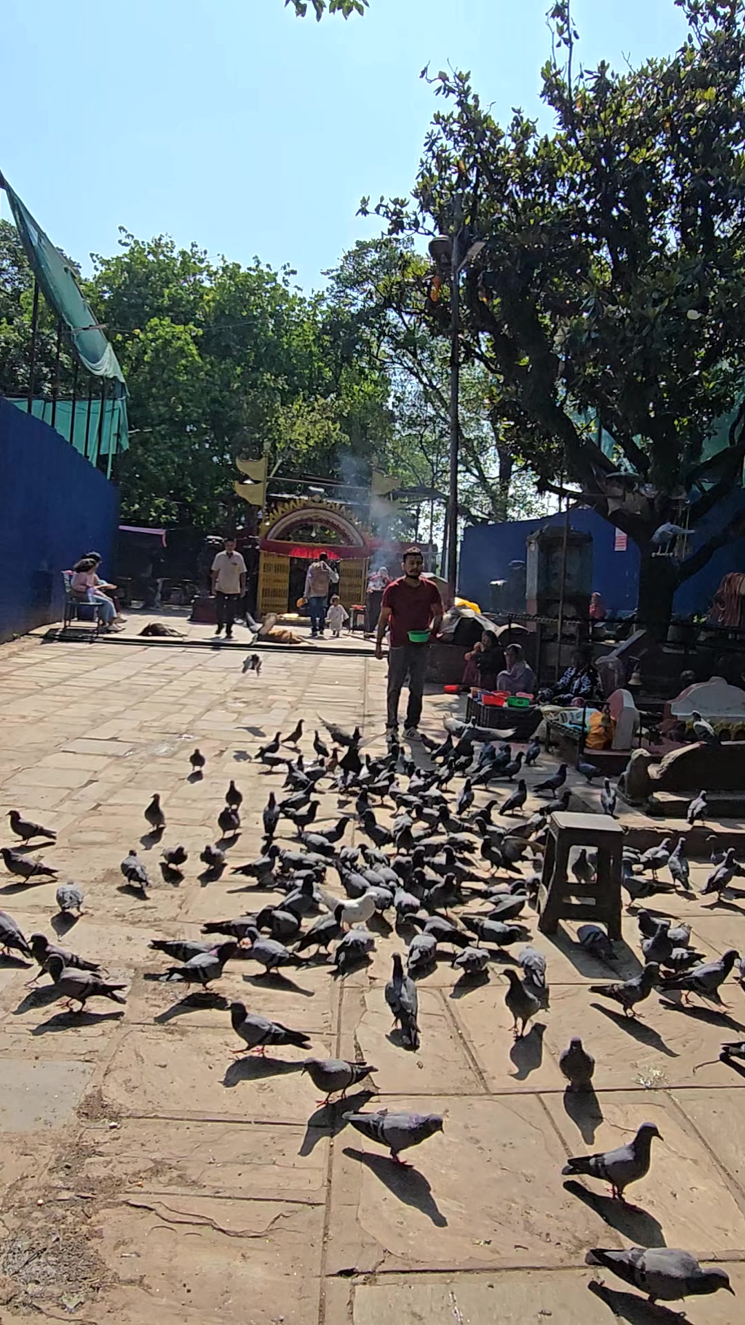 @hamrojatra.com