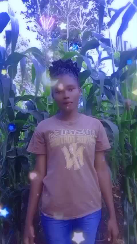 @whitneyterry6