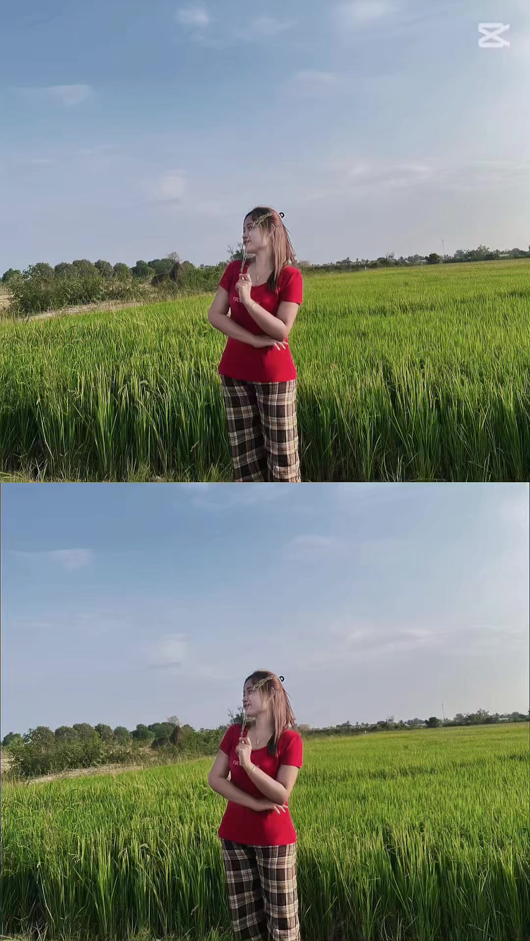 @零-Nai 🦥
