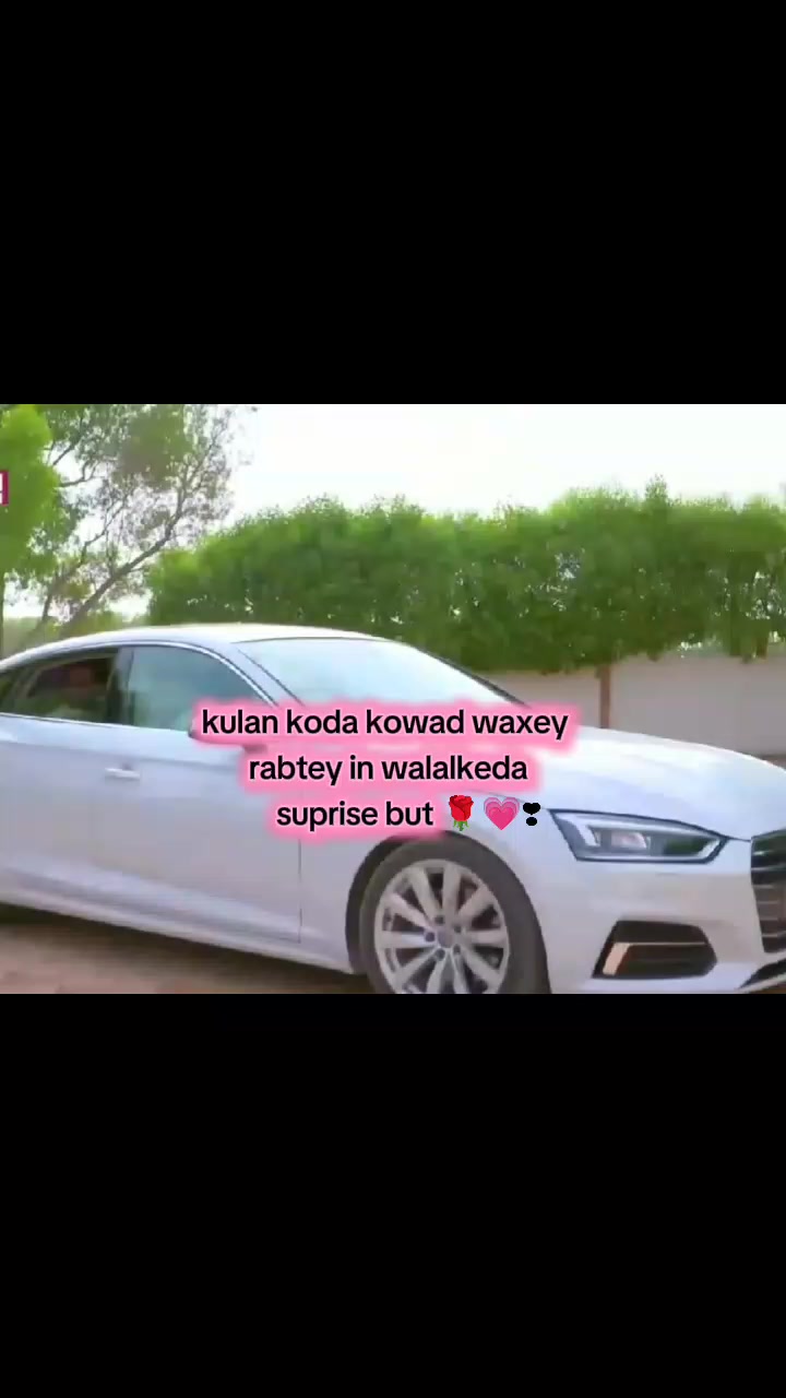 @musalsal tv