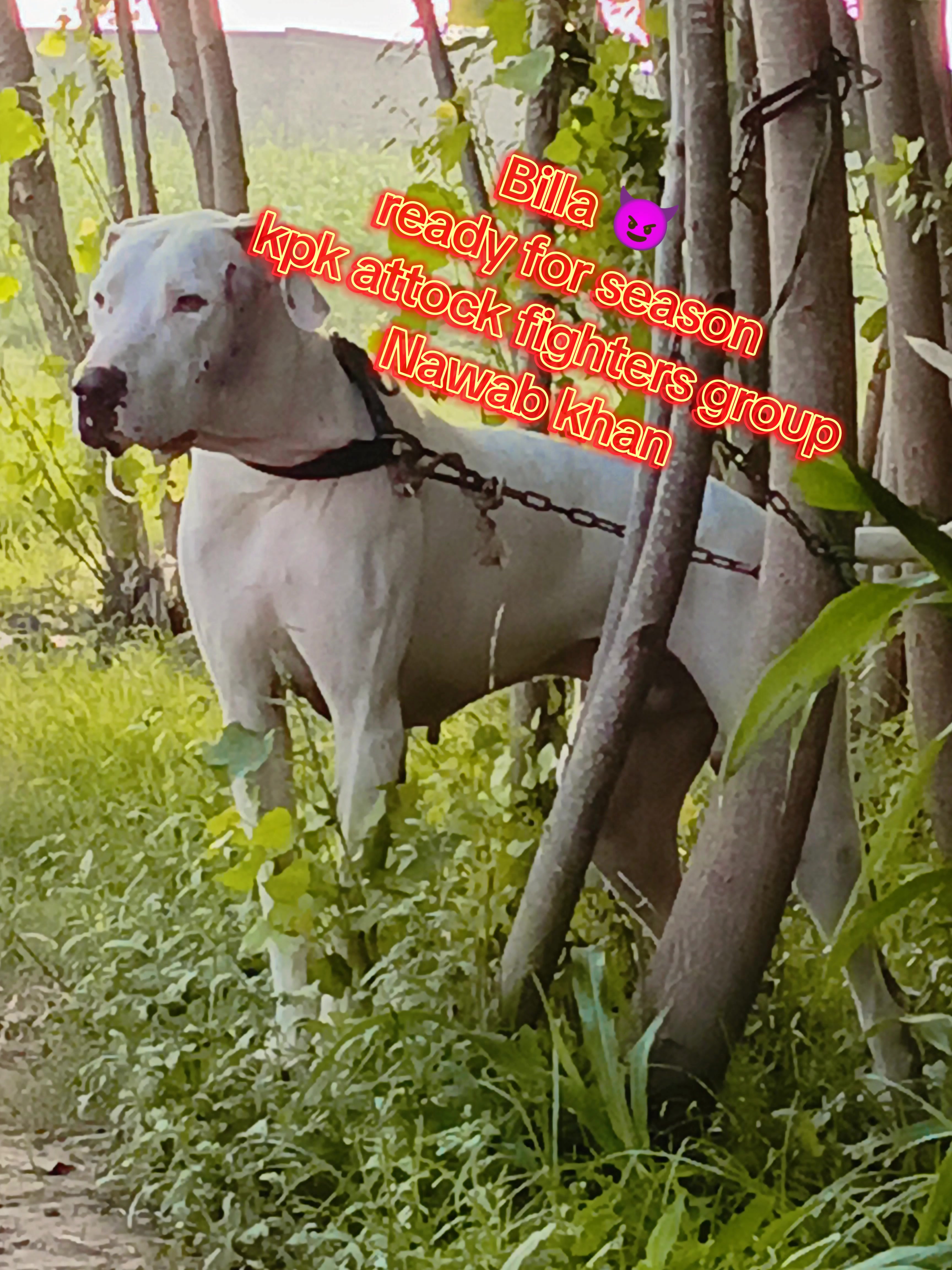 @MåTëēÑ-Khåñ__(SSåLäR ZåÏ