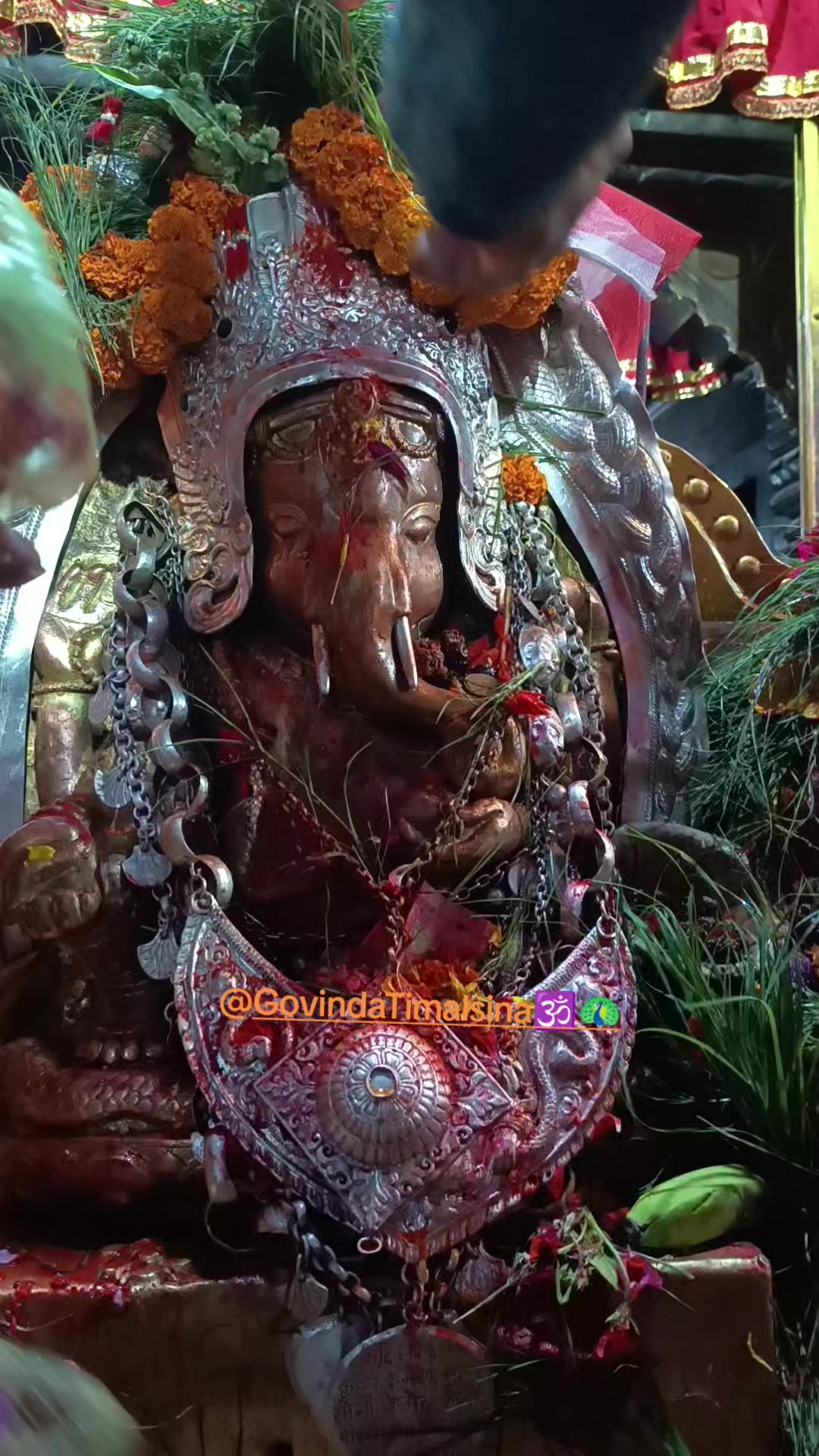 @Govinda Timalsina🕉🦚