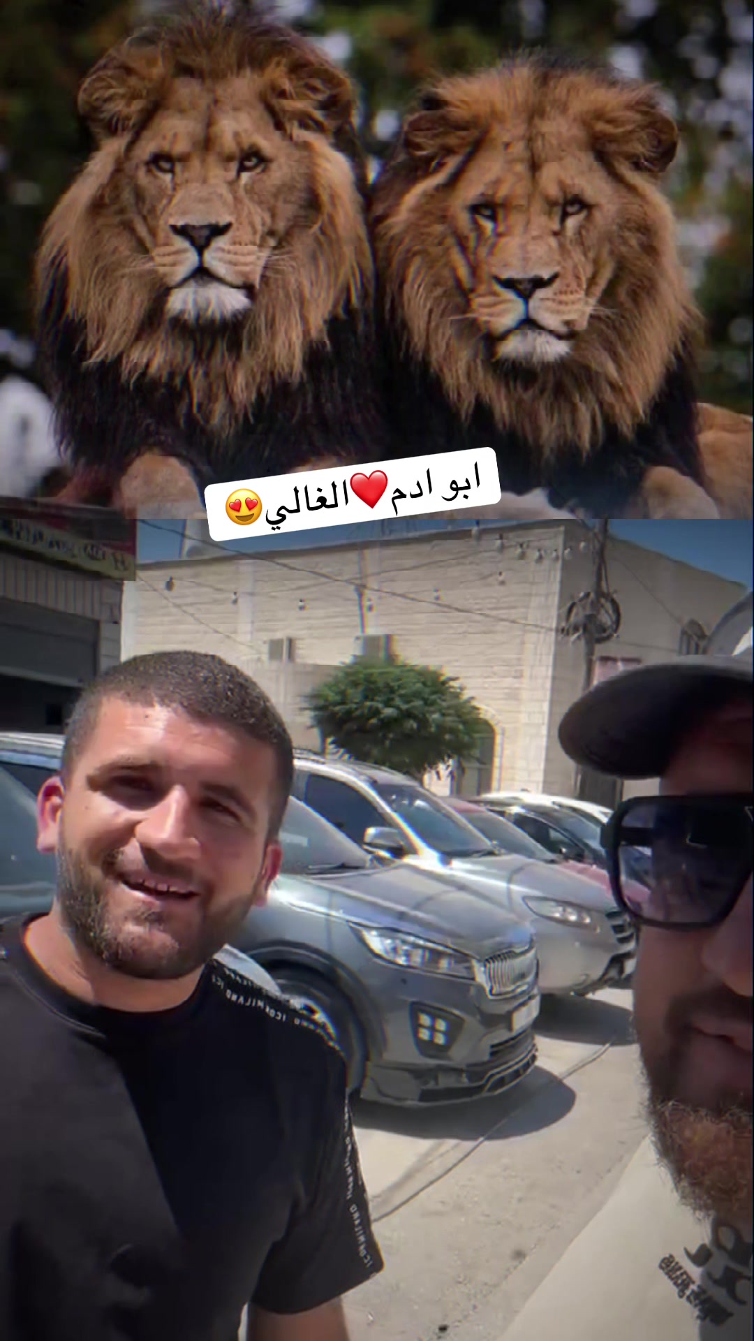 @حوحو نافع
