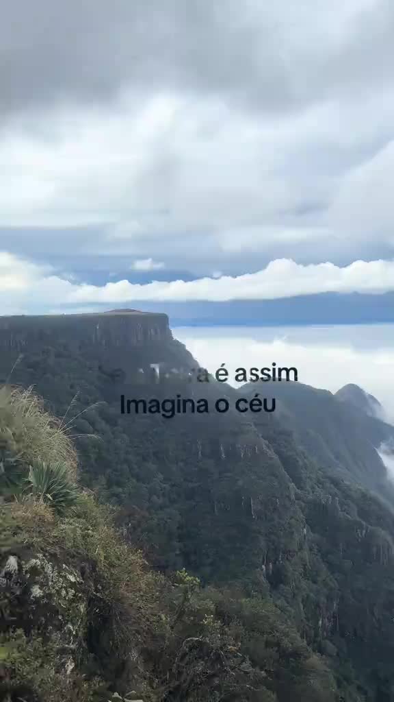 @aurorinha