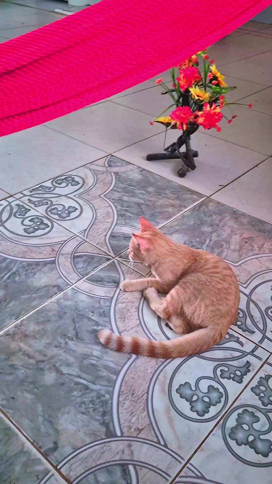 @edkas😍🥰